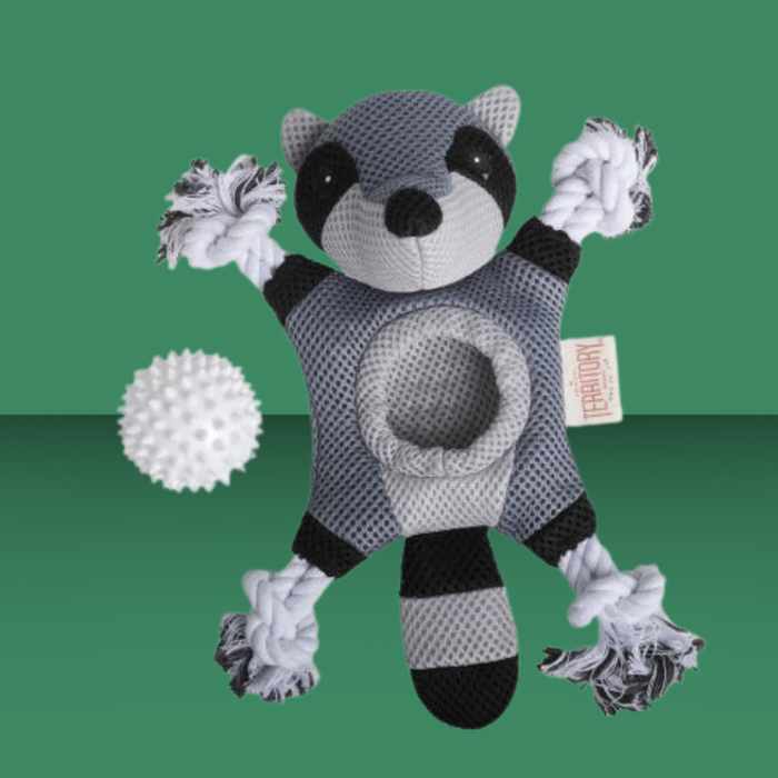 Territory 2-in-1 Racoon