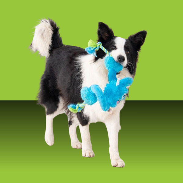 Territory Loopy Tug Monster 33"