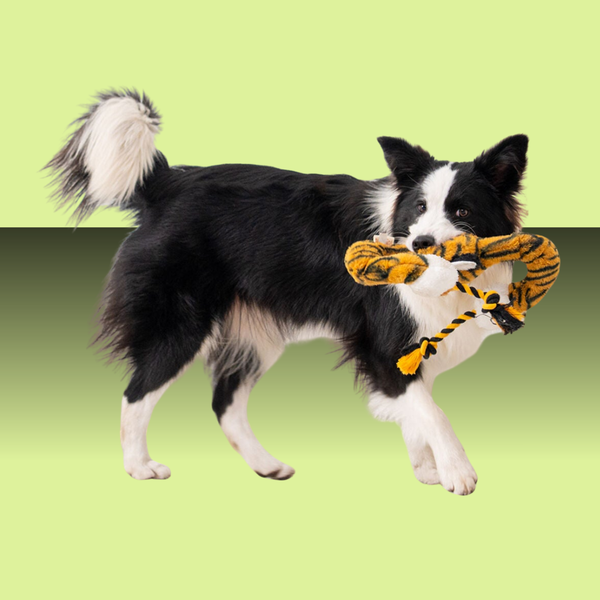 Territory Loopy Tug Tiger 33"