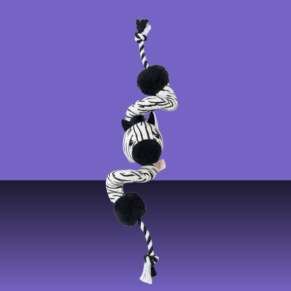 Territory Loopy Tug Zebra 33"