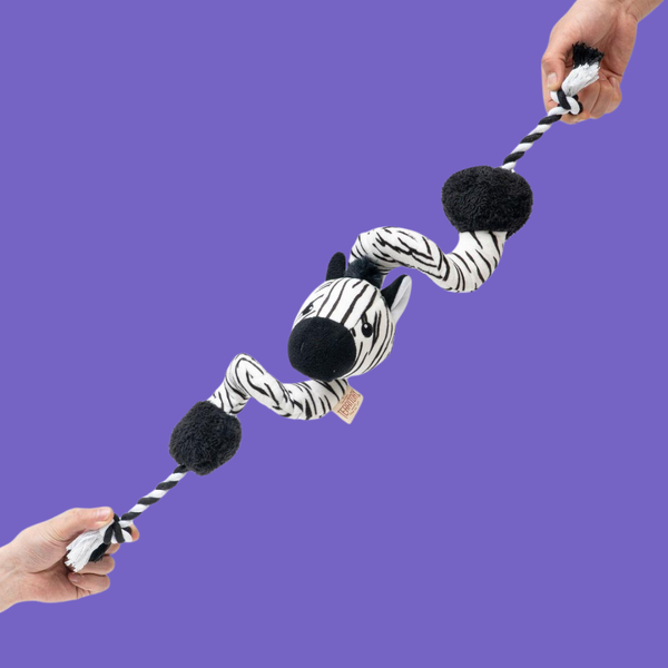 Territory Loopy Tug Zebra 33"