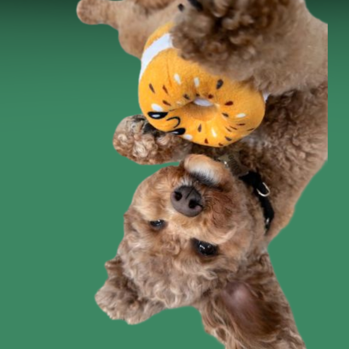 Territory Plush Bagel 4"