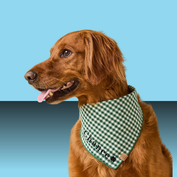 The Foggy Dog Bandana Evergreen Gingham