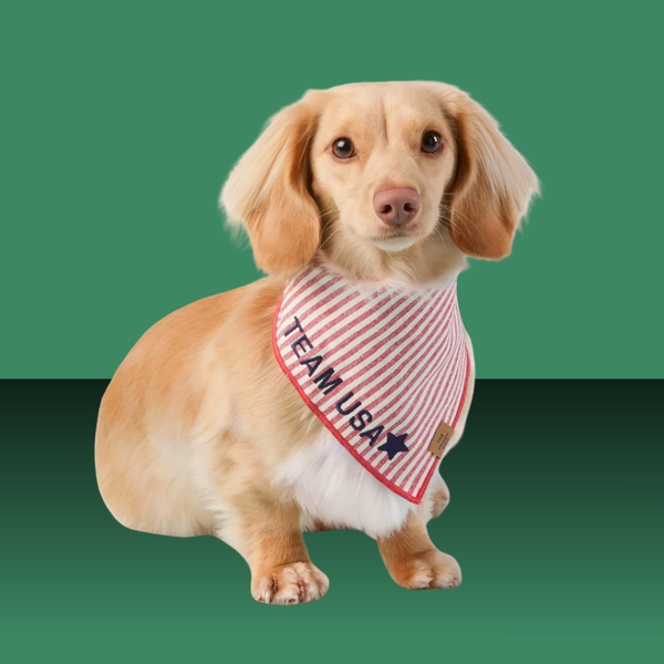 The Foggy Dog Bandana Red Stripe
