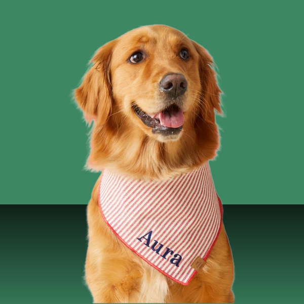 The Foggy Dog Bandana Red Stripe