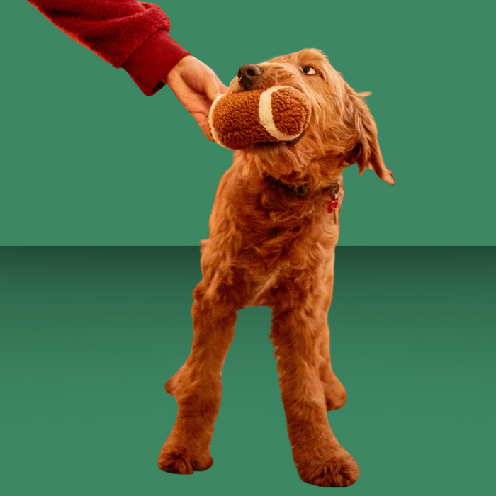 ThoozyPet Football Plush