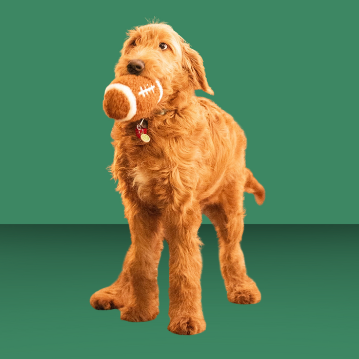 ThoozyPet Football Plush