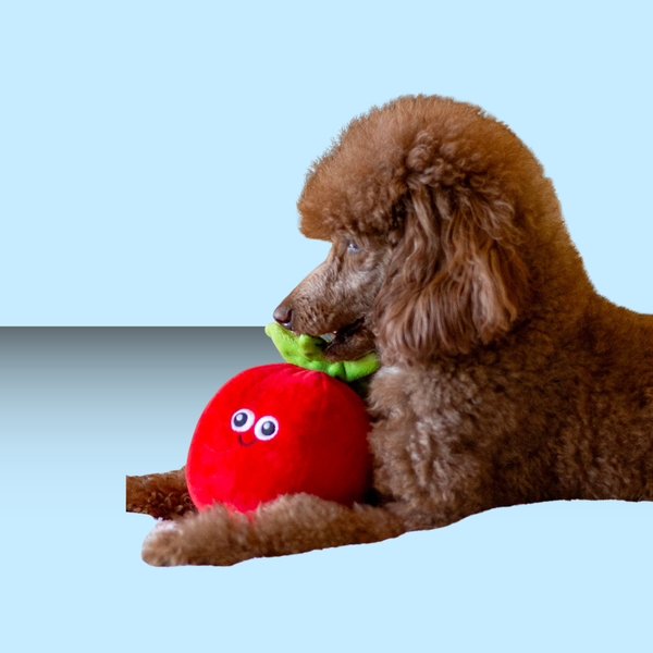 ThoozyPet Tomato Plush 5.5"