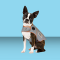 Thundershirt Sport Platinum XS