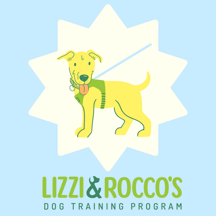Training Program