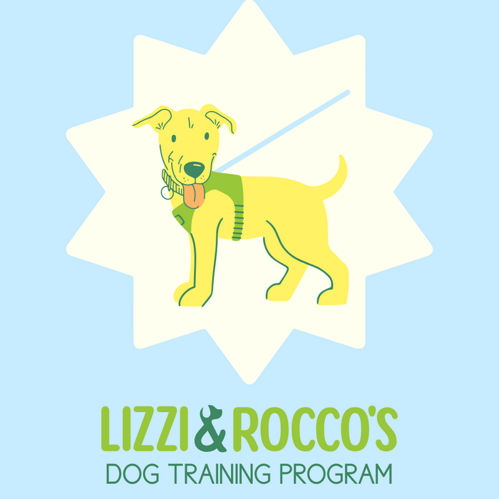 Training Service - Puppy Class Wednesday