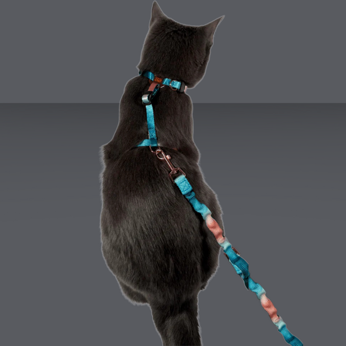 Travel Cat Harness and Leash Set Day Tripper Adjustable Watercolors