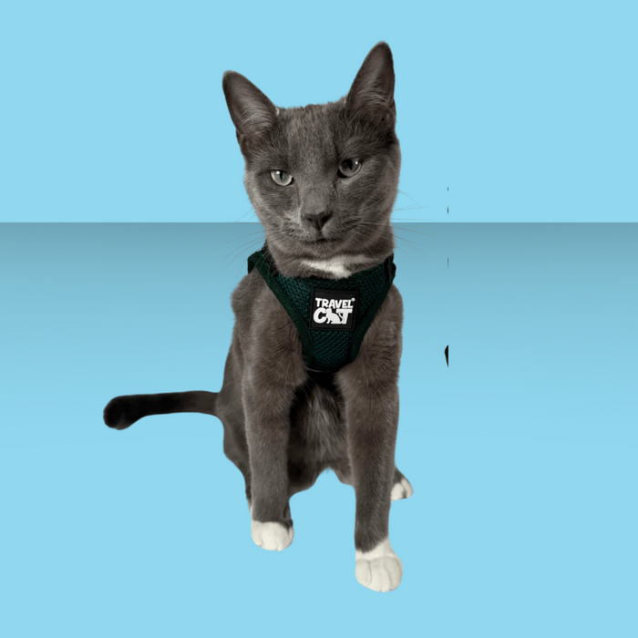 Travel Cat Harness and Leash Set Emerald Explorer M