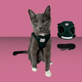 Travel Cat Harness and Leash Set Emerald Explorer S