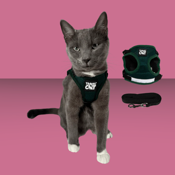 Travel Cat Harness and Leash Set Emerald Explorer S