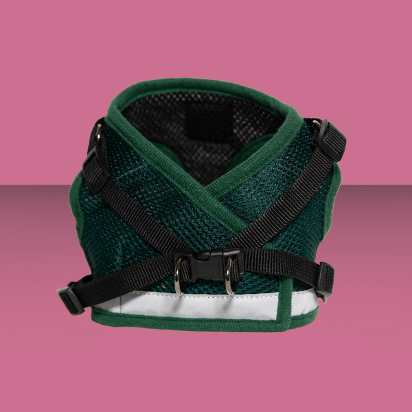 Travel Cat Harness and Leash Set Emerald Explorer S