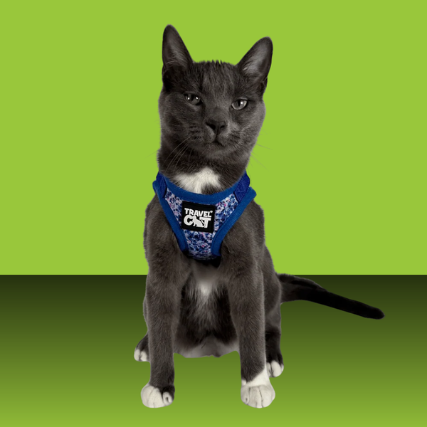 Travel Cat Harness and Leash Set Groovy Cat M