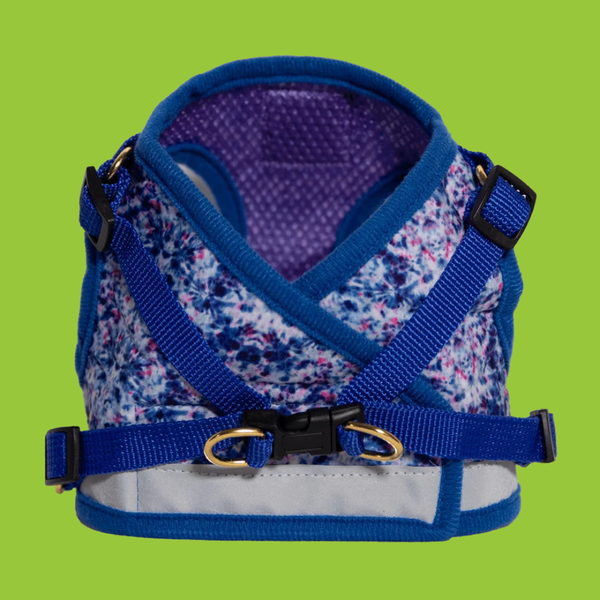 Travel Cat Harness and Leash Set Groovy Cat M