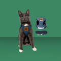 Travel Cat Harness and Leash Set Jean Jacket M