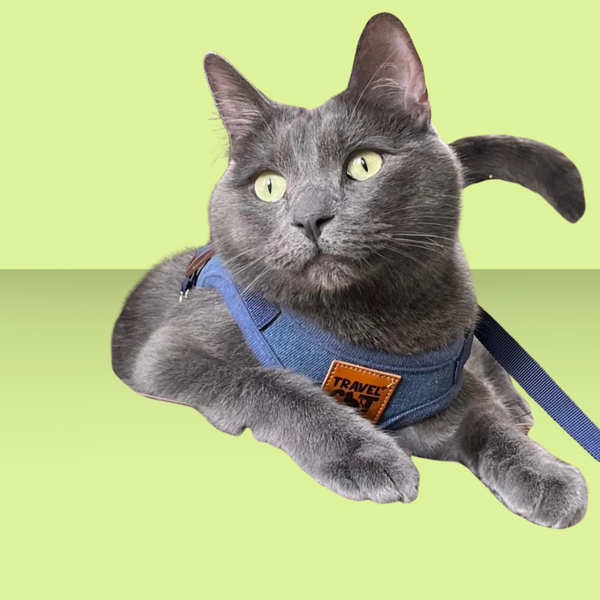 Travel Cat Harness and Leash Set Jean Jacket S