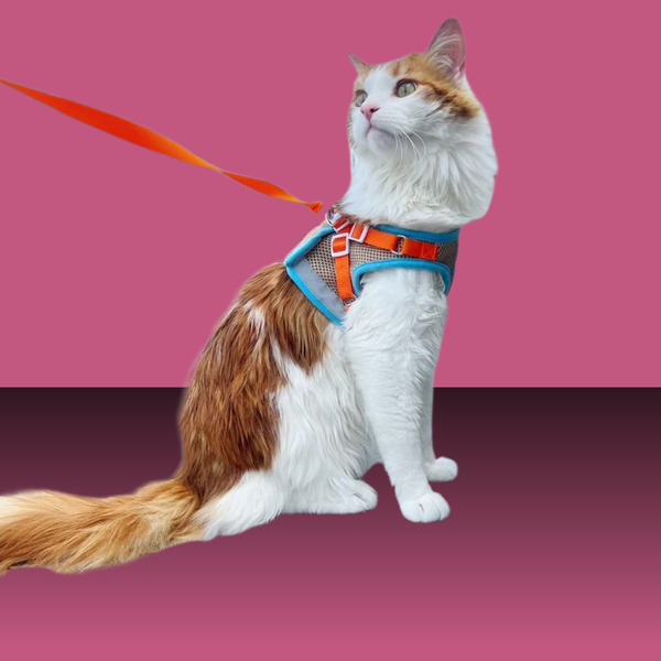 Travel Cat Harness and Leash Set Oasis S