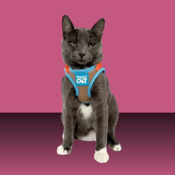 Travel Cat Harness and Leash Set Oasis S