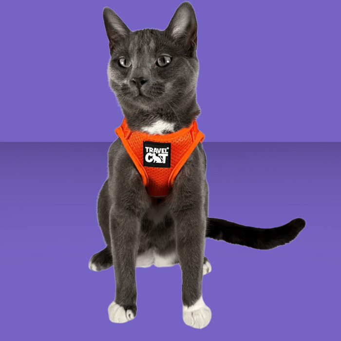 Travel Cat Harness and Leash Set Orange M