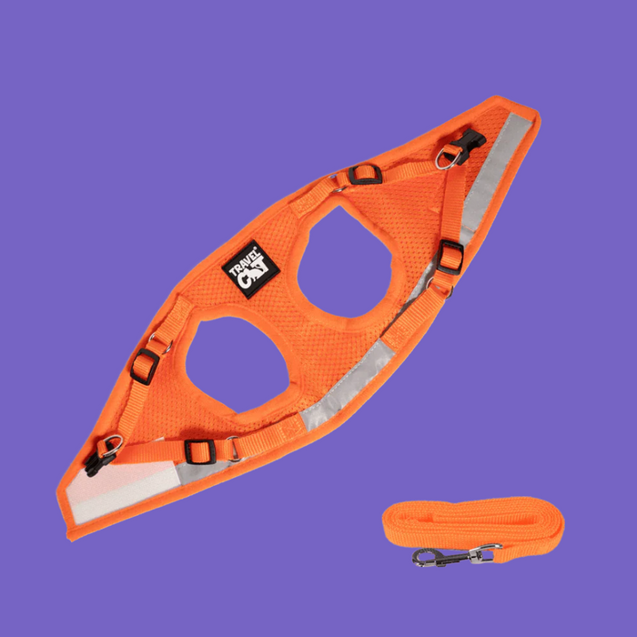 Travel Cat Harness and Leash Set Orange M