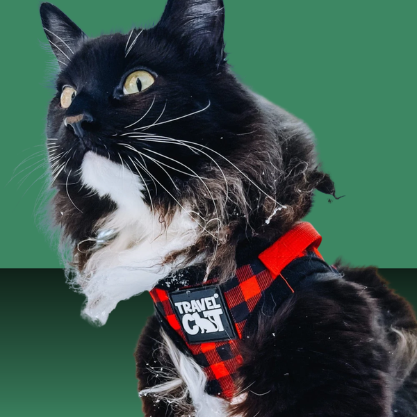 Travel Cat Harness and Leash Set Pawsitively Plaid S