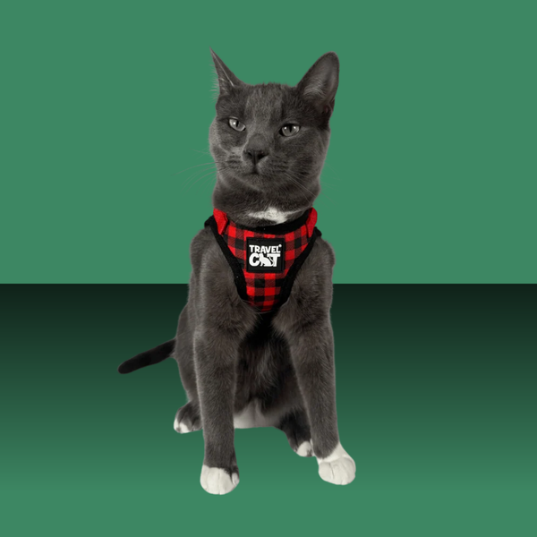 Travel Cat Harness and Leash Set Pawsitively Plaid S