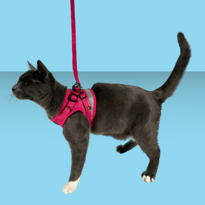 Travel Cat Harness and Leash Set Purrfectly Pink Iridescent M