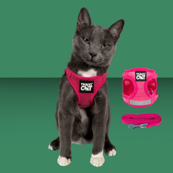 Travel Cat Harness and Leash Set Purrfectly Pink Iridescent S