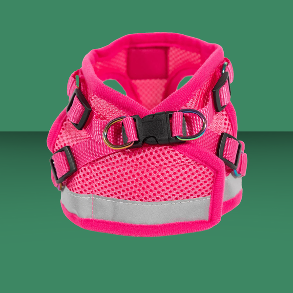 Travel Cat Harness and Leash Set Purrfectly Pink Iridescent S