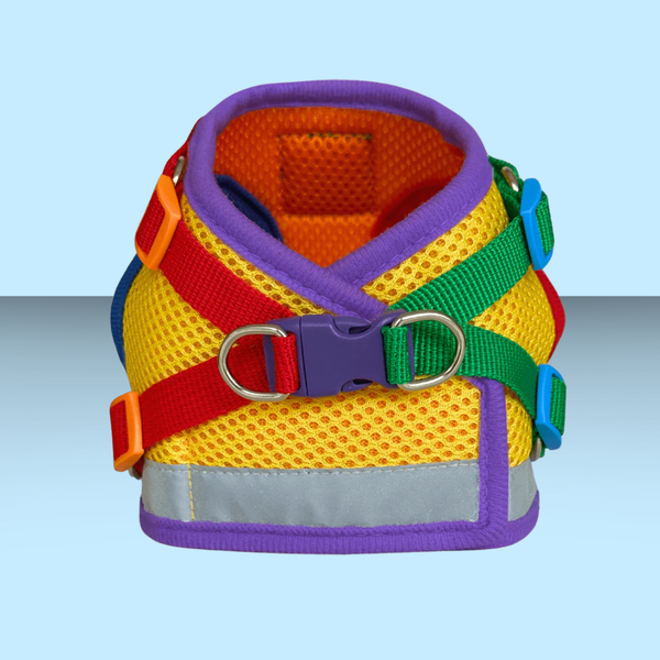 Travel Cat Harness and Leash Set Rainbow M