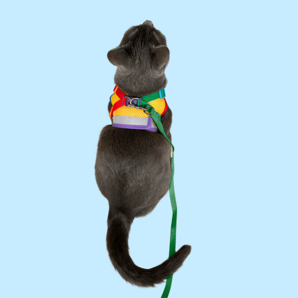 Travel Cat Harness and Leash Set Rainbow M