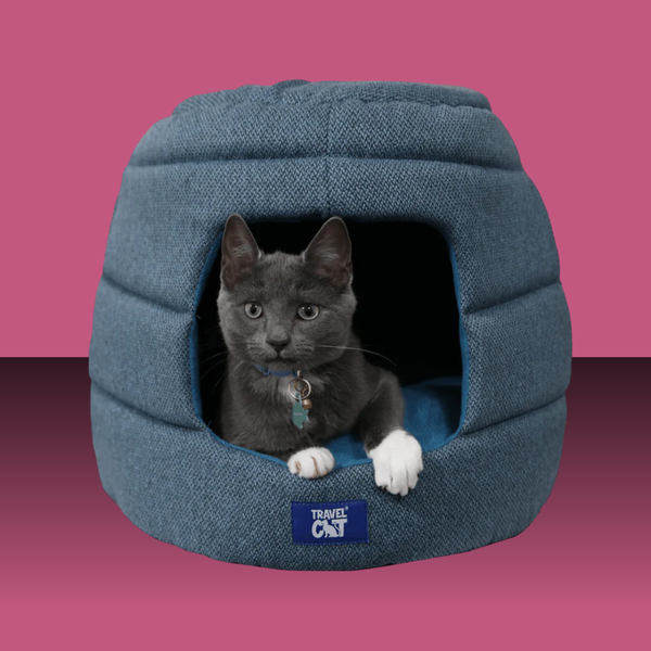 Travel Cat Meowbile Home Convertible Cat Bed & Cave Blue