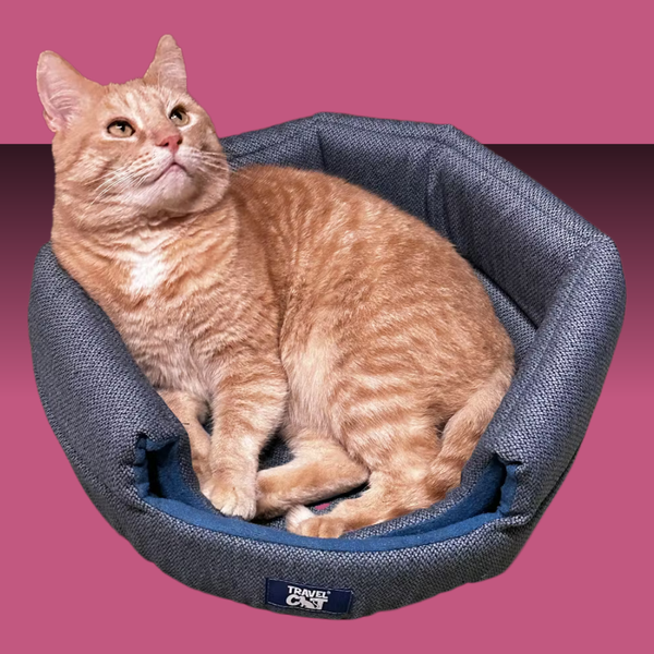 Travel Cat Meowbile Home Convertible Cat Bed & Cave Blue