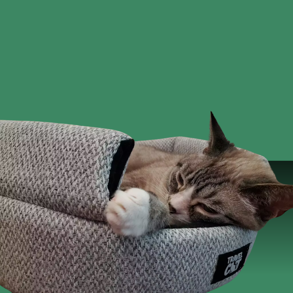 Travel Cat Meowbile Home Convertible Cat Bed & Cave Heather Gray