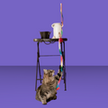 Travel Cat Rainbow Dancer Wand