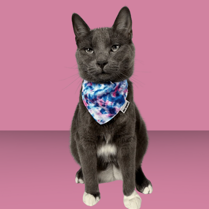 Travel Cat The Groovy Bandana & Collar