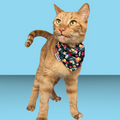 Travel Cat The Hawaiian Bandana & Collar