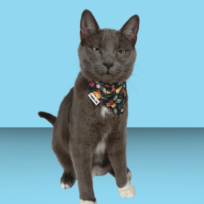 Travel Cat The Hawaiian Bandana & Collar