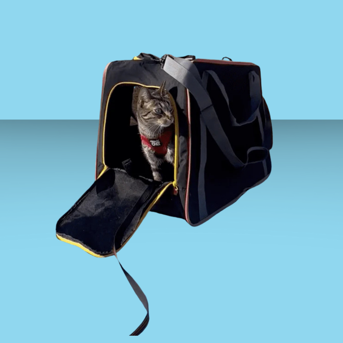 Travel Cat The Pack N' Paw Collapsible Cat Crate and Carrier