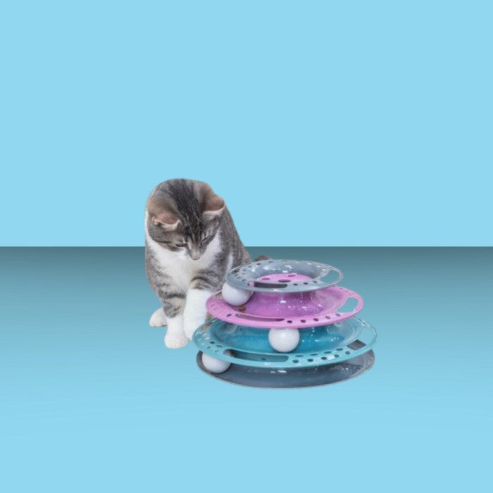 Trixie Cat Activity Catch the Balls Circle Track Multicolor