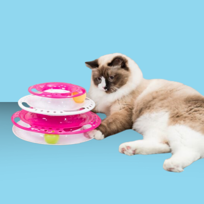Trixie Cat Activity Catch the Balls Circle Track Pink