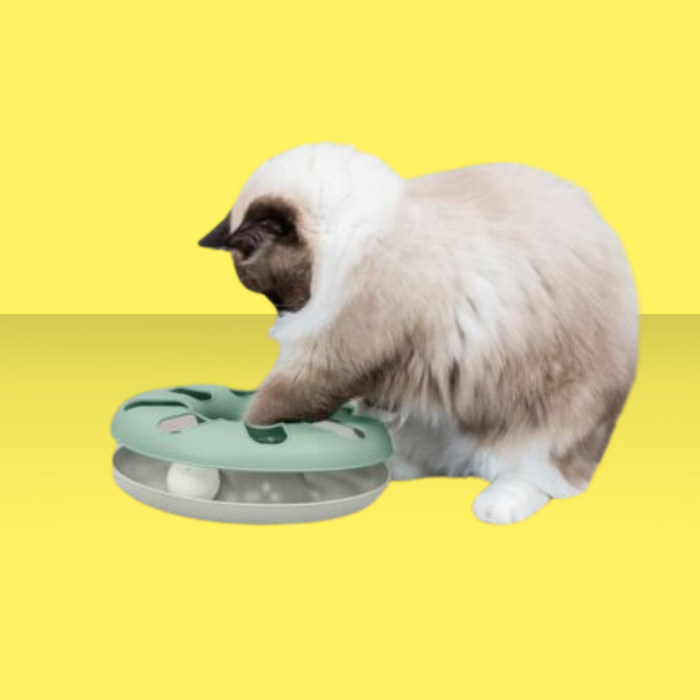 Trixie Cat Activity Crazy Circle Green