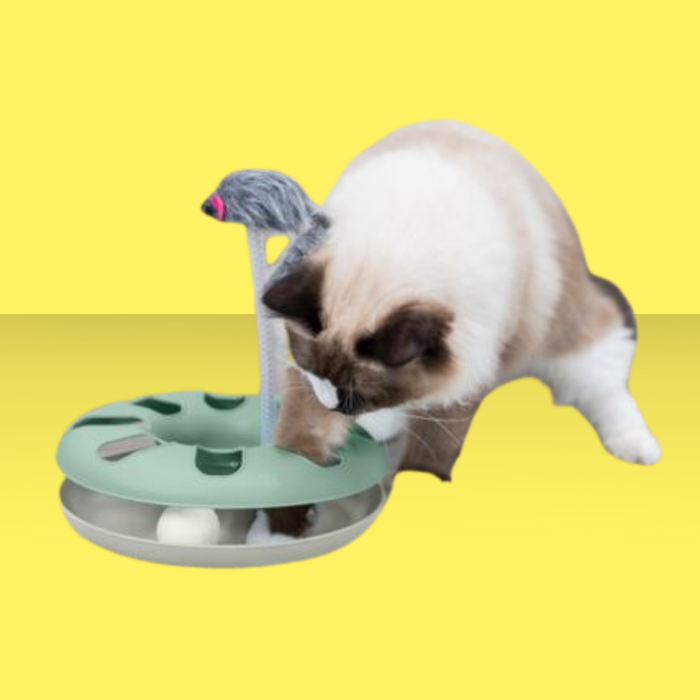 Trixie Cat Activity Crazy Circle Pink