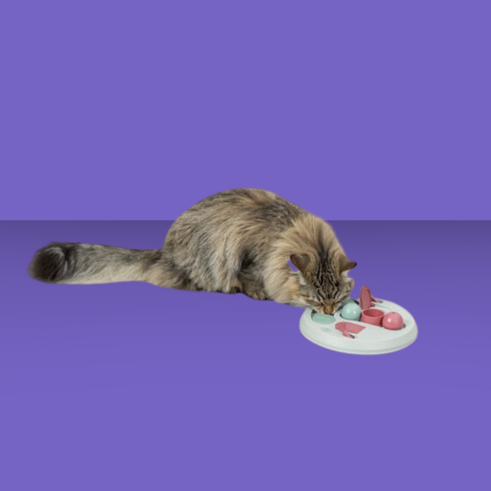 Trixie Cat Activity Hide N Slide