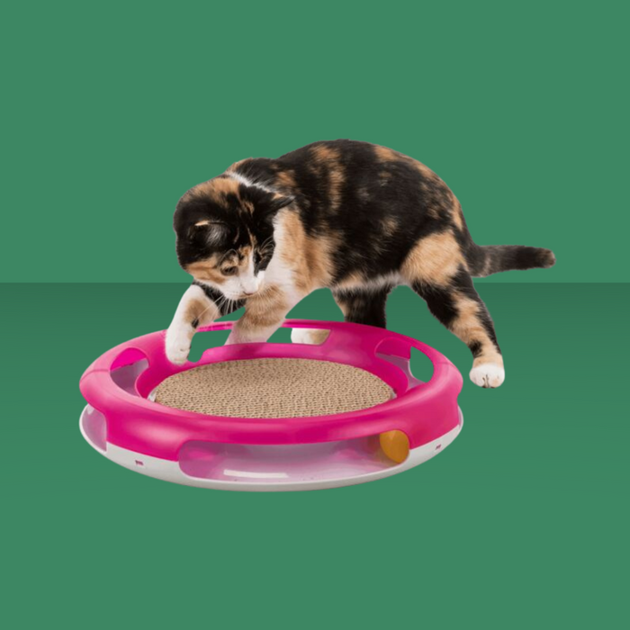 Trixie Cat Activity Race & Scratch