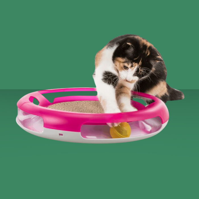 Trixie Cat Activity Race & Scratch